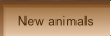 New animals