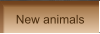 New animals