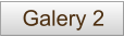Galery 2