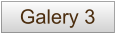 Galery 3