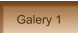Galery 1