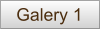 Galery 1