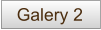 Galery 2