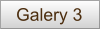 Galery 3